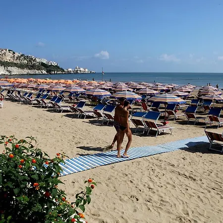 Bikini Vieste